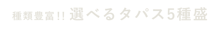 タパス5種盛