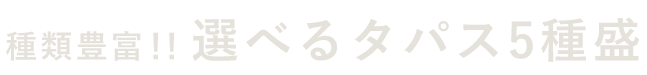 種類豊富!! 選べるタパス5種盛